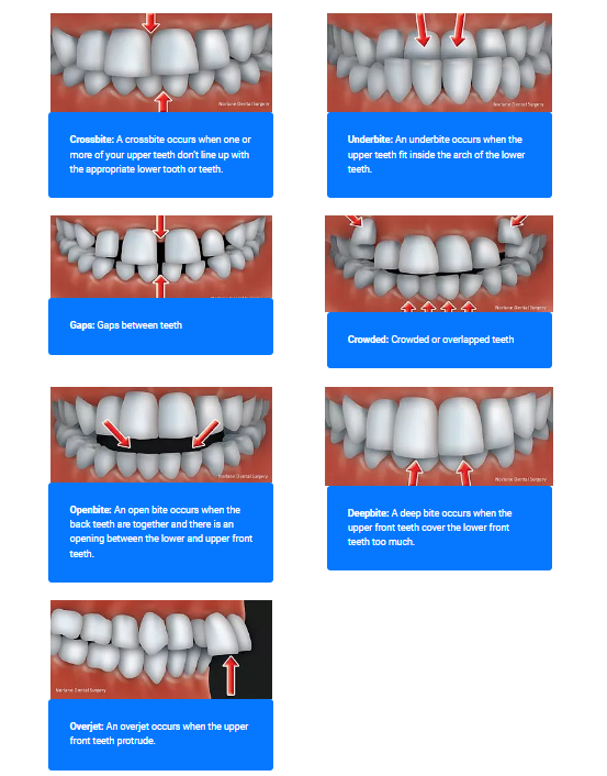 Orthodontics 
